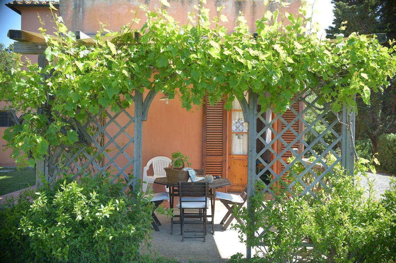 Agriturismo Le Cerbonche Rosignano Marittimo Exterior foto